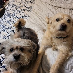 Meet your Posher, Bill